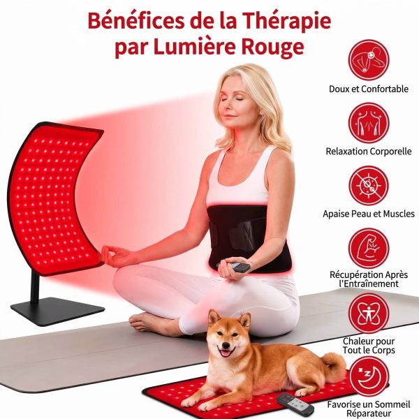 Appareil à lumière infrarouge pour la peau